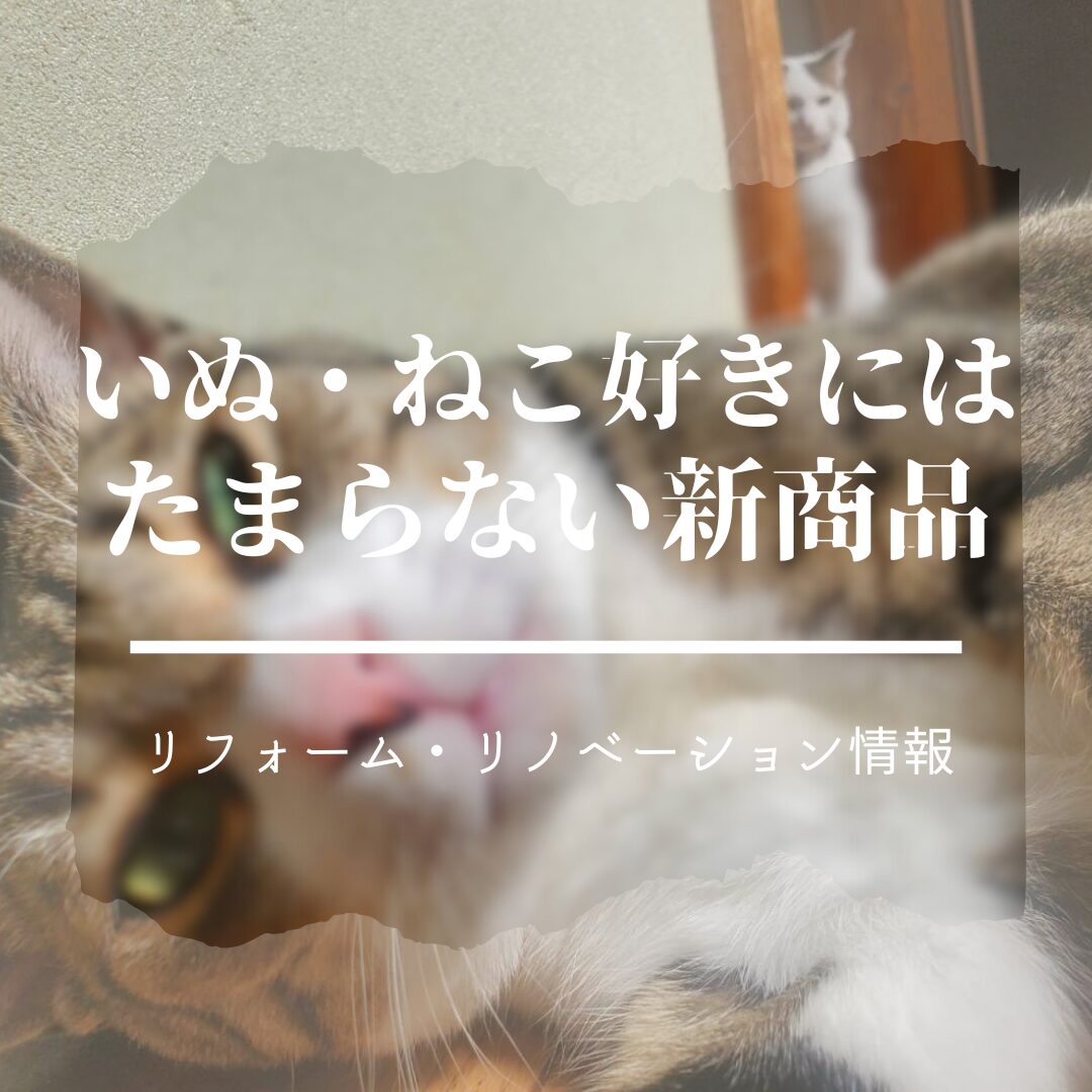 いぬ・ねこと仲良く暮らす家にはこれがオススメ！