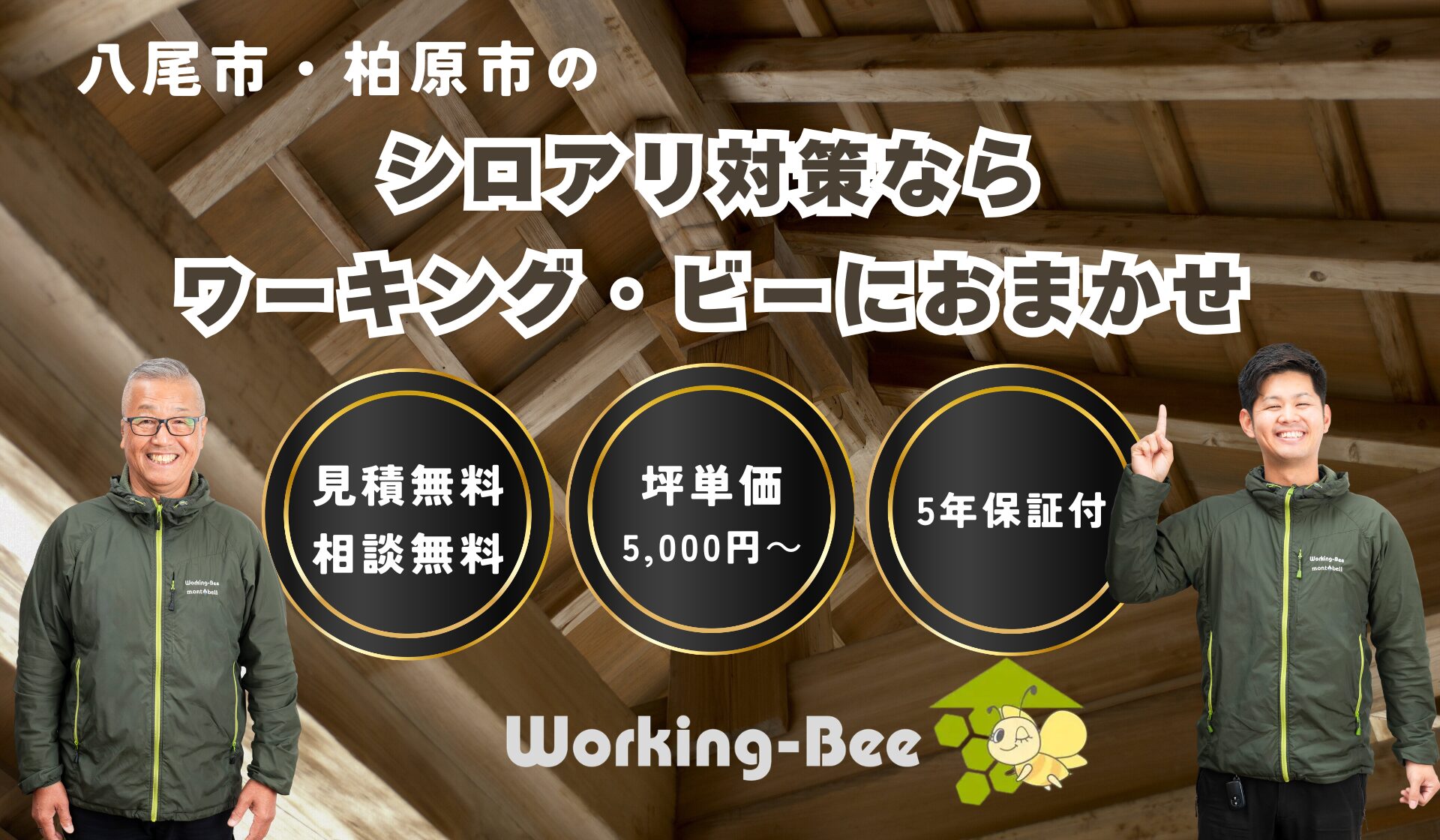 シロアリキャンペーン